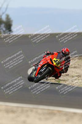 media/Jun-07-2025-TrackDaz (Sat) [[4413525952]]/A Group/12pm (Turn 2)/